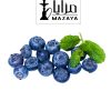 Blueberry-Mint.jpg - Hookah Sense