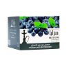 Blueberry-mint-1000-G.jpg - Hookah Sense