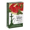 Watermelon-mint-50.jpg - Hookah Sense