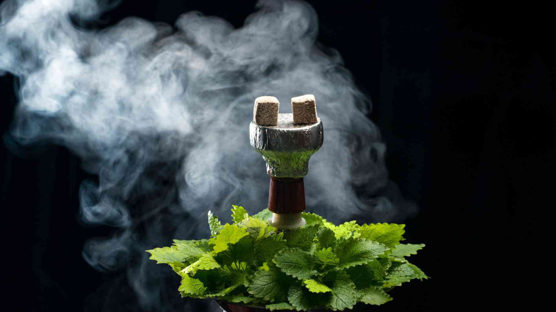 Untitled design 41 - Hookah Sense About Us Hookah Sense